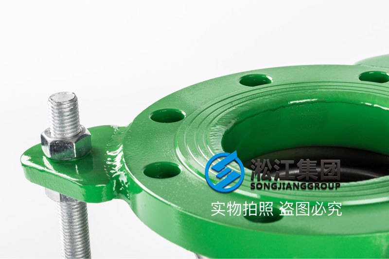 DN100國標法蘭波紋補償器